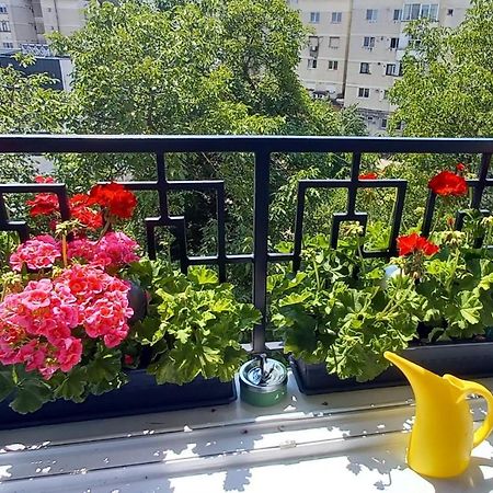 33 Coquette Apartment 바이아마레 외부 사진