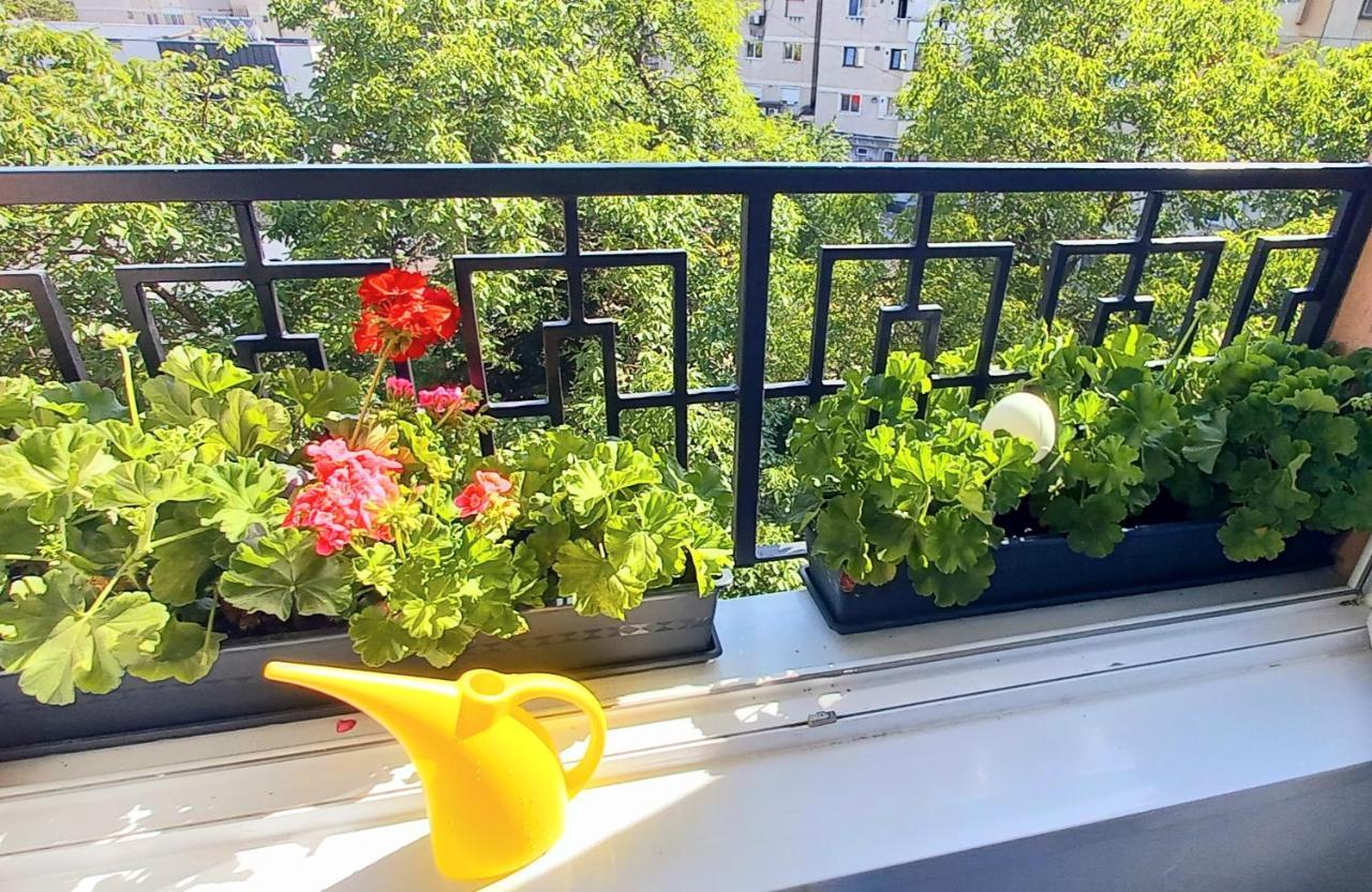 33 Coquette Apartment 바이아마레 외부 사진