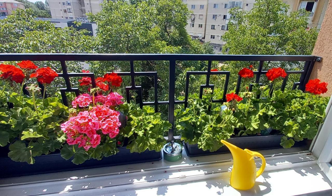 33 Coquette Apartment 바이아마레 외부 사진
